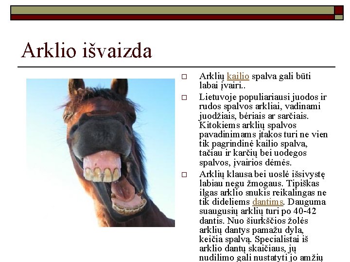 Arklio išvaizda o o o Arklių kailio spalva gali būti labai įvairi. . Lietuvoje