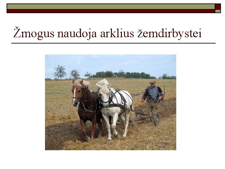 Žmogus naudoja arklius žemdirbystei 