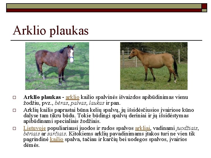 Arklio plaukas o o o Arklio plaukas - arklio kailio spalvinės išvaizdos apibūdinimas vienu