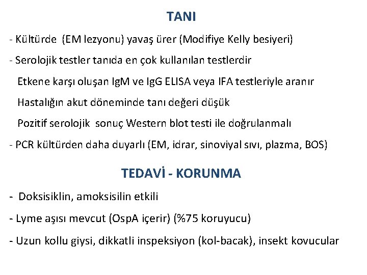 TANI - Kültürde (EM lezyonu) yavaş ürer (Modifiye Kelly besiyeri) - Serolojik testler tanıda