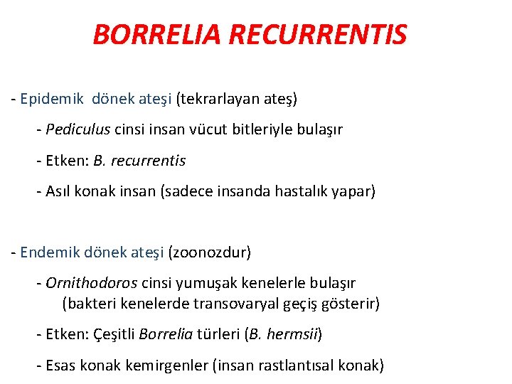 BORRELIA RECURRENTIS - Epidemik dönek ateşi (tekrarlayan ateş) - Pediculus cinsi insan vücut bitleriyle