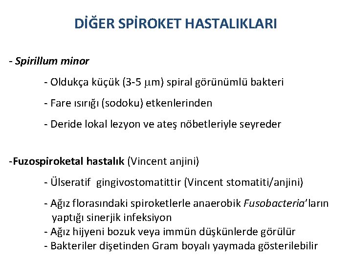 DİĞER SPİROKET HASTALIKLARI - Spirillum minor - Oldukça küçük (3 -5 m) spiral görünümlü