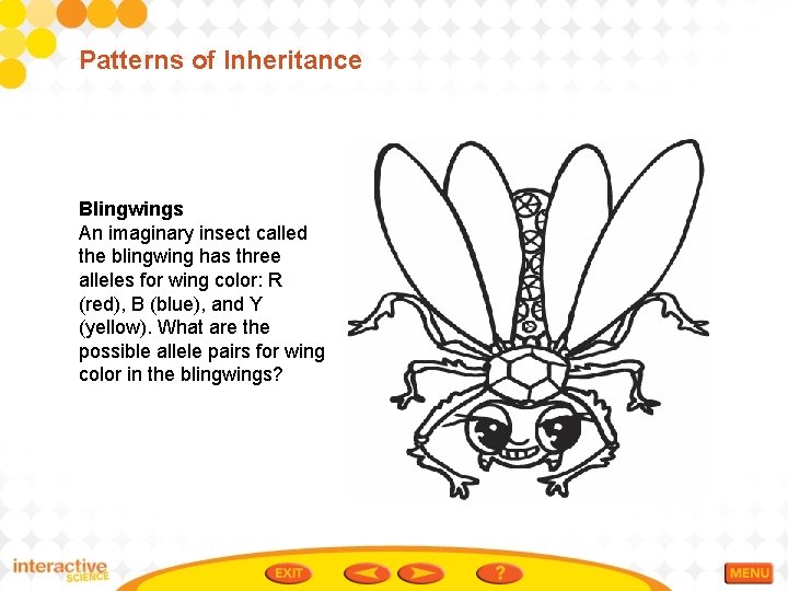 Patterns of Inheritance Blingwings An imaginary insect called the blingwing has three alleles for