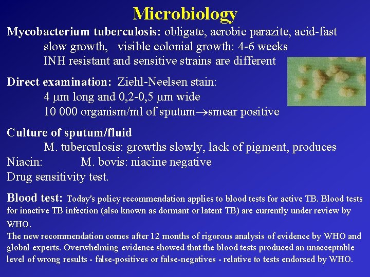 Microbiology Mycobacterium tuberculosis: obligate, aerobic parazite, acid-fast slow growth, visible colonial growth: 4 -6