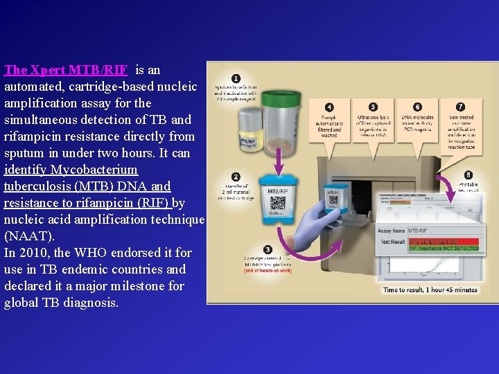 The Xpert MTB/RIF is an automated, cartridge-based nucleic amplification assay for the simultaneous detection