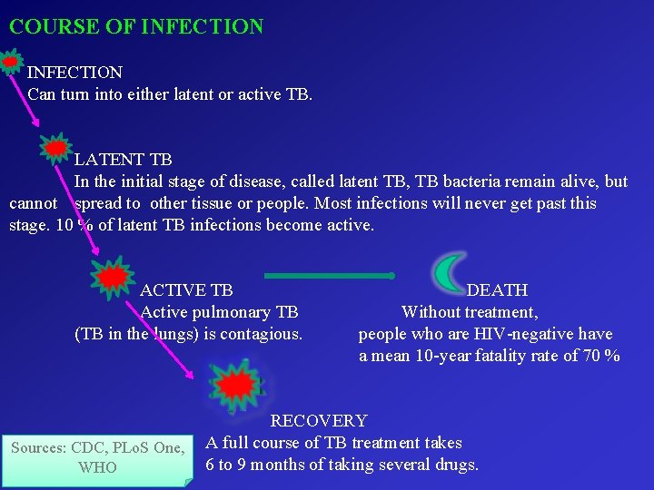 COURSE OF INFECTION Can turn into either latent or active TB. LATENT TB In