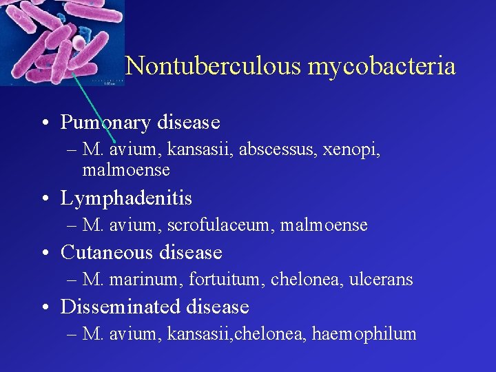 Nontuberculous mycobacteria • Pumonary disease – M. avium, kansasii, abscessus, xenopi, malmoense • Lymphadenitis