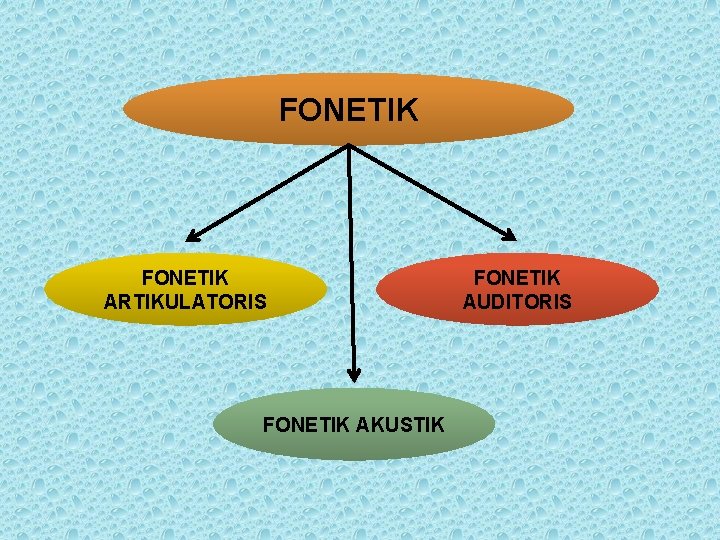 FONETIK ARTIKULATORIS FONETIK AKUSTIK FONETIK AUDITORIS 