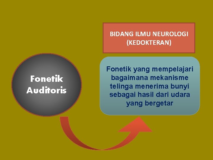 BIDANG ILMU NEUROLOGI (KEDOKTERAN) Fonetik Auditoris Fonetik yang mempelajari bagaimana mekanisme telinga menerima bunyi