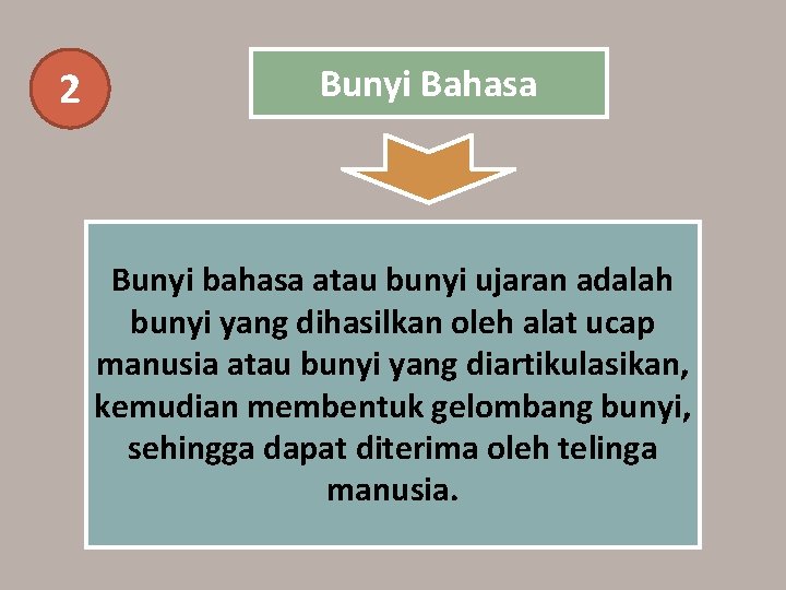 2 Bunyi Bahasa Bunyi bahasa atau bunyi ujaran adalah bunyi yang dihasilkan oleh alat