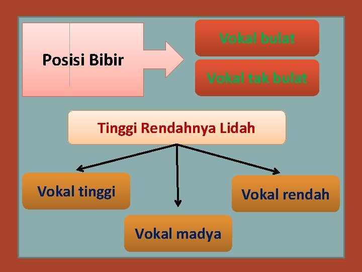 Vokal bulat Posisi Bibir Vokal tak bulat Tinggi Rendahnya Lidah Vokal tinggi Vokal rendah