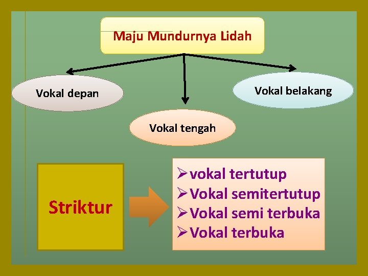 Maju Mundurnya Lidah Vokal belakang Vokal depan Vokal tengah Striktur Øvokal tertutup ØVokal semi