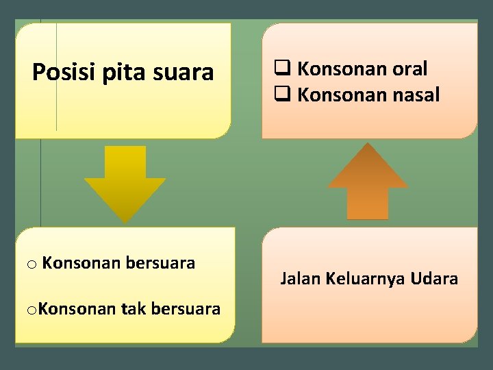 Posisi pita suara o Konsonan bersuara o. Konsonan tak bersuara q Konsonan oral q