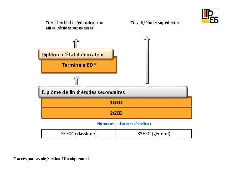 Travail en tant qu’éducateur (ou autre) /études supérieures Travail /études supérieures Diplôme d’État d’éducateur