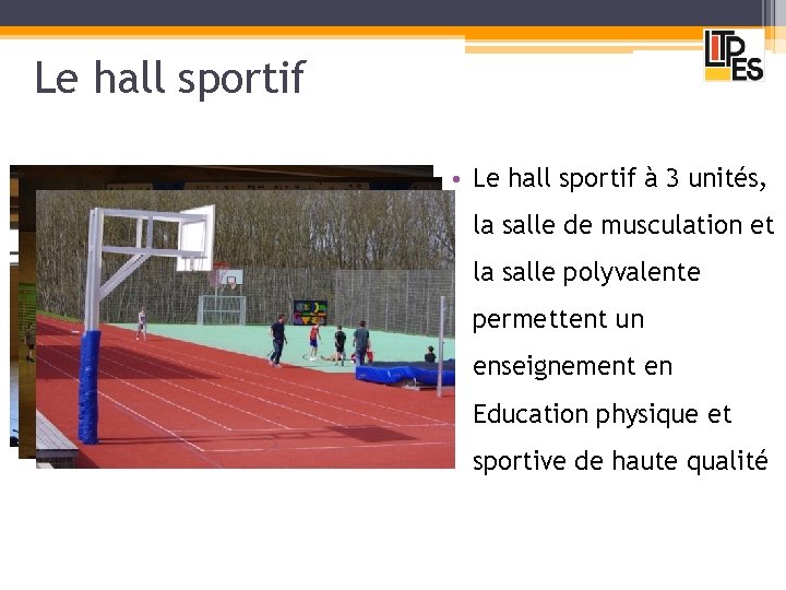 Le hall sportif • Le hall sportif à 3 unités, la salle de musculation