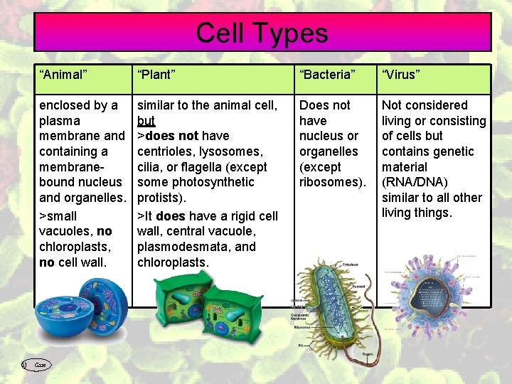 Cell Types SJ “Animal” “Plant” enclosed by a plasma membrane and containing a membranebound