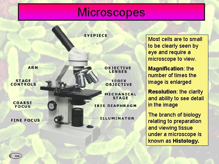 Microscopes Most cells are to small to be clearly seen by eye and require