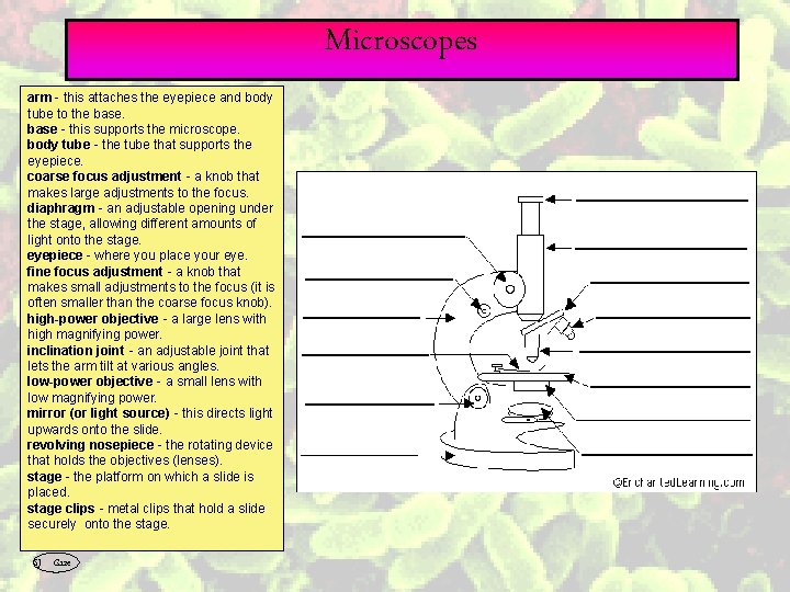 Microscopes arm - this attaches the eyepiece and body tube to the base -