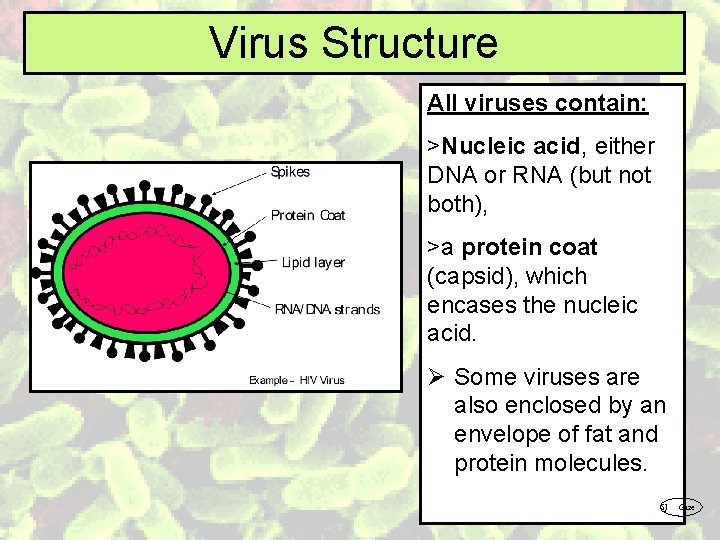 Virus Structure All viruses contain: >Nucleic acid, either DNA or RNA (but not both),