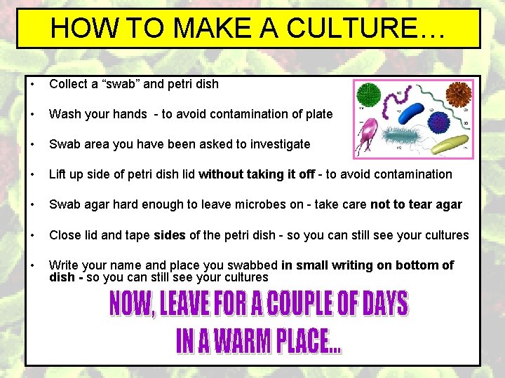 HOW TO MAKE A CULTURE… • Collect a “swab” and petri dish • Wash