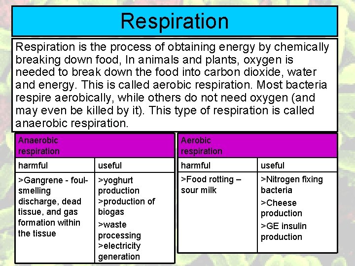 Respiration is the process of obtaining energy by chemically breaking down food, In animals