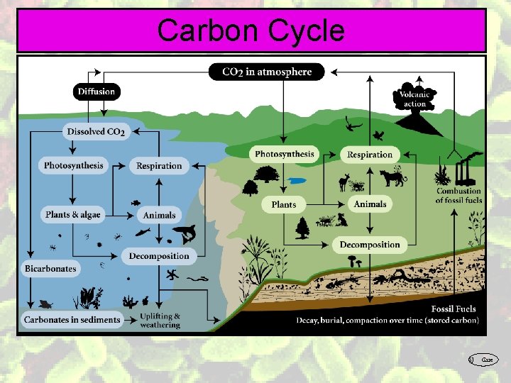 Carbon Cycle SJ Gaze 