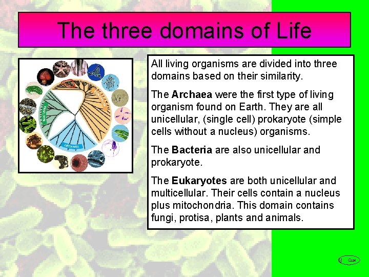 The three domains of Life All living organisms are divided into three domains based