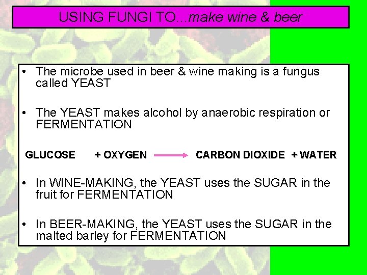USING FUNGI TO. . . make wine & beer • The microbe used in
