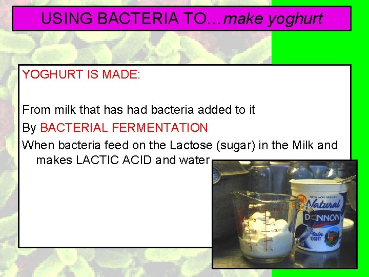 USING BACTERIA TO…make yoghurt YOGHURT IS MADE: From milk that has had bacteria added