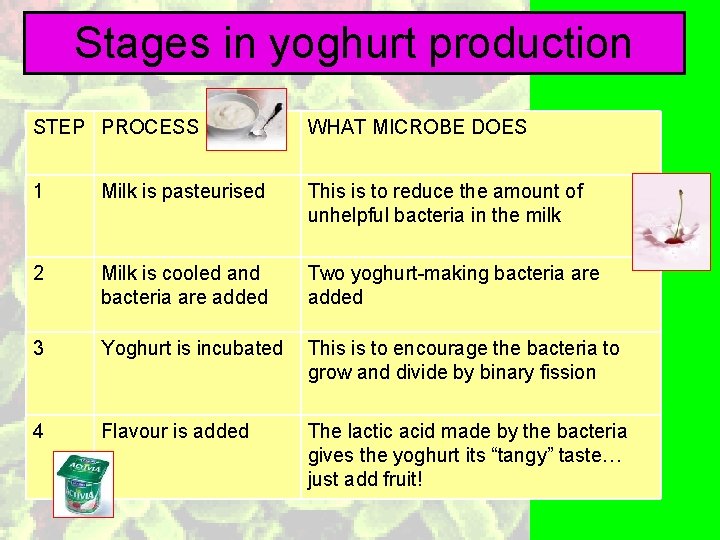 Stages in yoghurt production STEP PROCESS WHAT MICROBE DOES 1 Milk is pasteurised This