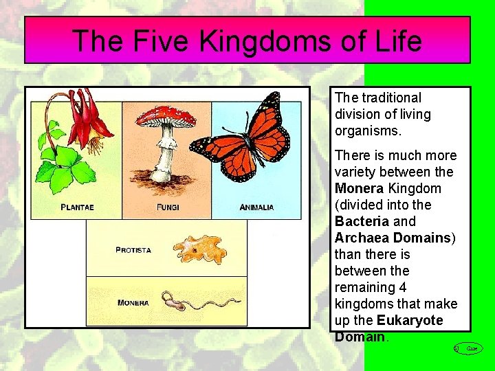 The Five Kingdoms of Life The traditional division of living organisms. There is much