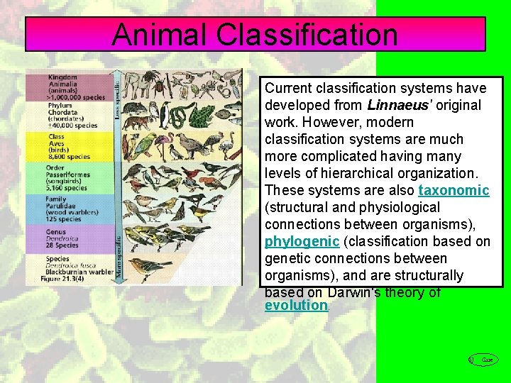 Animal Classification Current classification systems have developed from Linnaeus' original work. However, modern classification