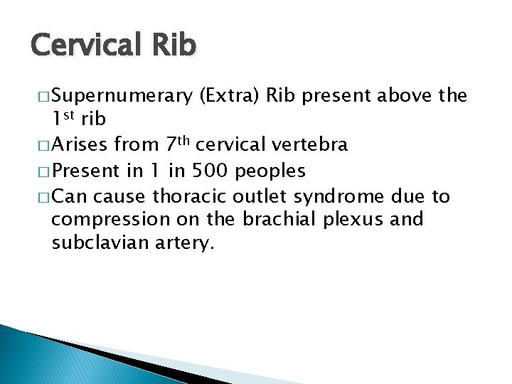 Cervical Rib � Supernumerary (Extra) Rib present above the 1 st rib � Arises