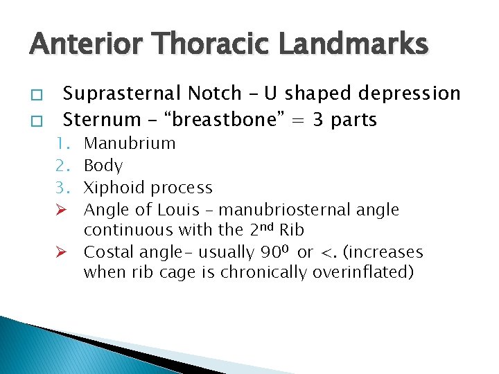 Anterior Thoracic Landmarks � � Suprasternal Notch – U shaped depression Sternum – “breastbone”