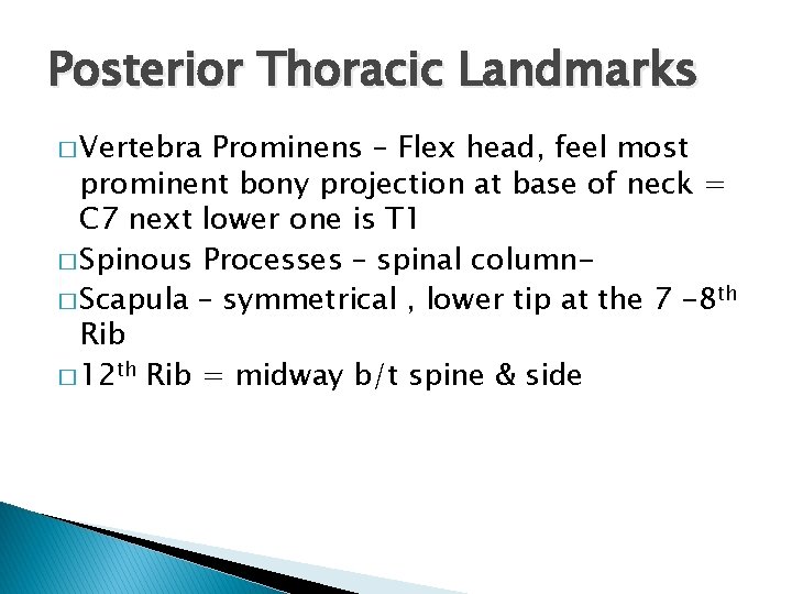 Posterior Thoracic Landmarks � Vertebra Prominens – Flex head, feel most prominent bony projection