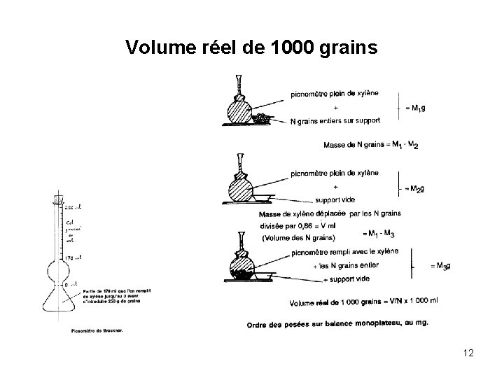 Volume réel de 1000 grains 12 