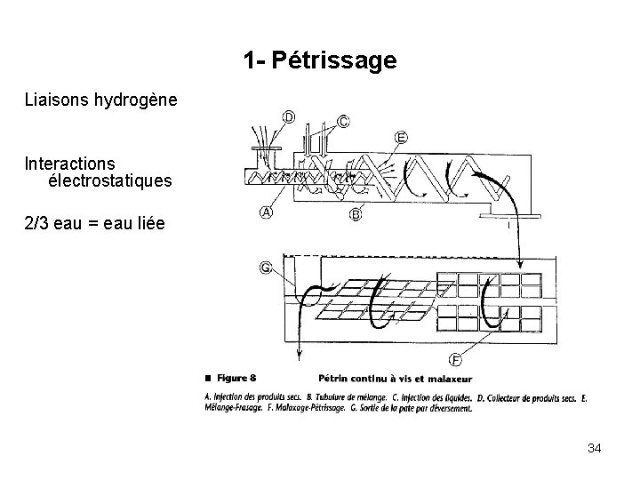 1 - Pétrissage Liaisons hydrogène Interactions électrostatiques 2/3 eau = eau liée 34 