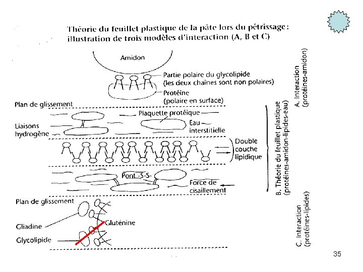 1 - Pétrissage* 35 