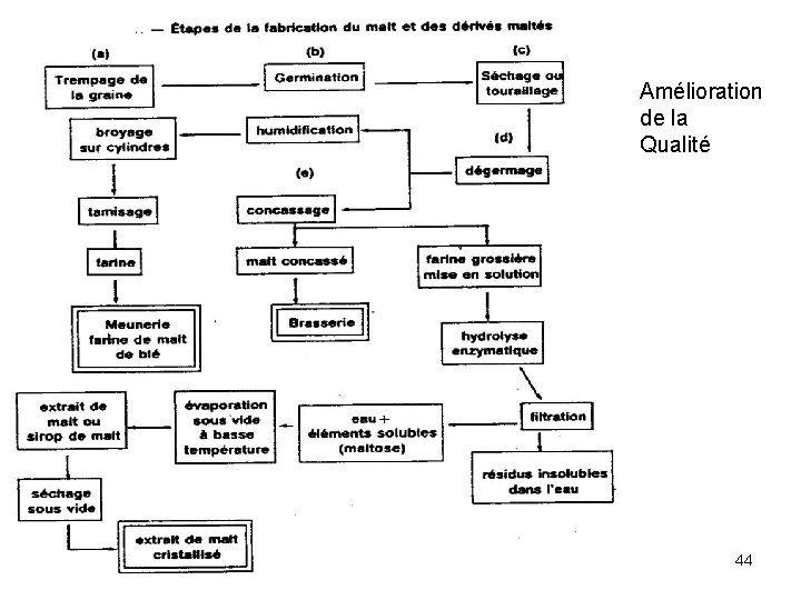 Amélioration de la Qualité 44 