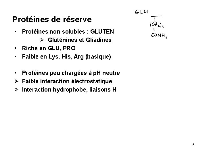 Protéines de réserve • Protéines non solubles : GLUTEN Ø Gluténines et Gliadines •