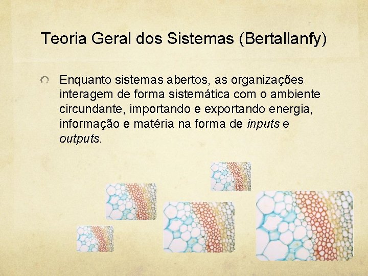 Teoria Geral dos Sistemas (Bertallanfy) Enquanto sistemas abertos, as organizações interagem de forma sistemática