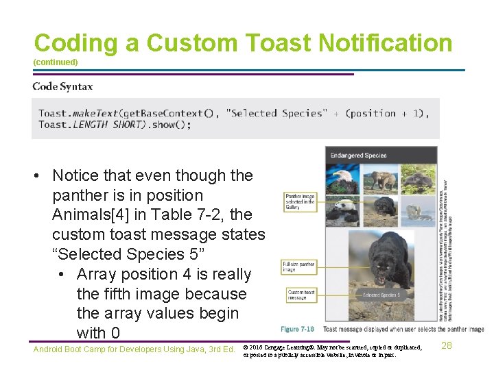 Coding a Custom Toast Notification (continued) • Notice that even though the panther is