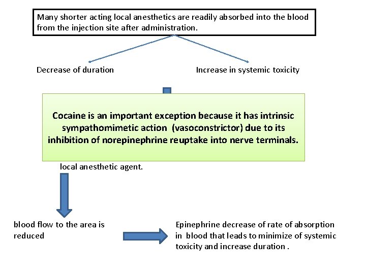 Many shorter acting local anesthetics are readily absorbed into the blood from the injection