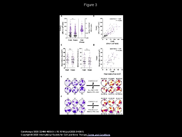 Figure 3 Cytotherapy 2020 22486 -493 DOI: (10. 1016/j. jcyt. 2020. 04. 091) Copyright