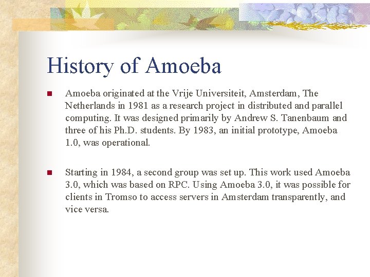 History of Amoeba n Amoeba originated at the Vrije Universiteit, Amsterdam, The Netherlands in