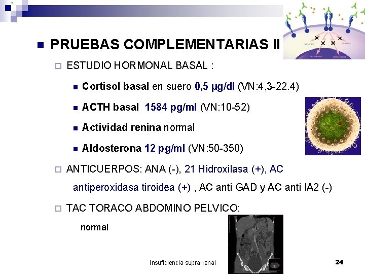 n PRUEBAS COMPLEMENTARIAS II ¨ ¨ ESTUDIO HORMONAL BASAL : n Cortisol basal en