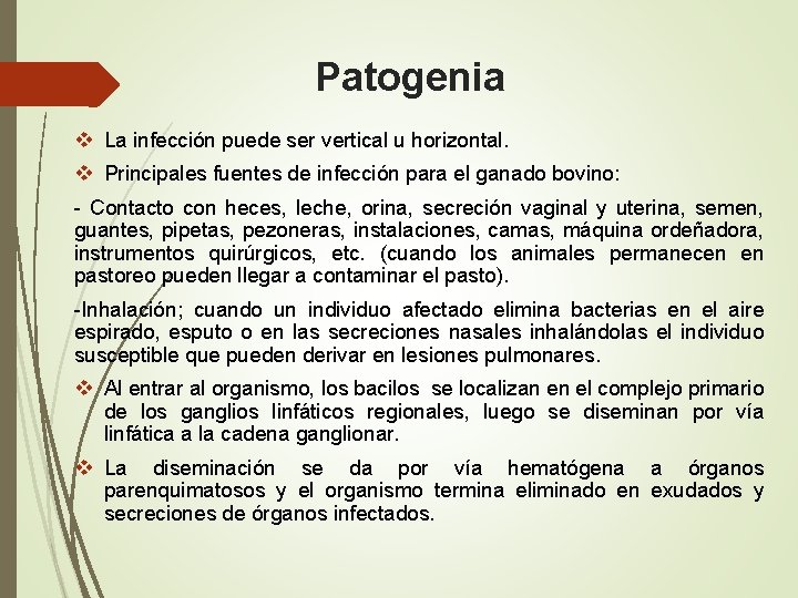 Patogenia v La infección puede ser vertical u horizontal. v Principales fuentes de infección