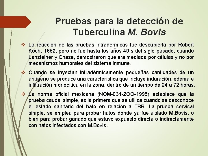 Pruebas para la detección de Tuberculina M. Bovis v La reacción de las pruebas