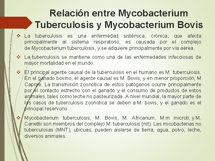 Relación entre Mycobacterium Tuberculosis y Mycobacterium Bovis v La tuberculosis es una enfermedad sistémica,