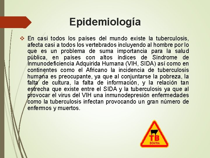 Epidemiología v En casi todos los países del mundo existe la tuberculosis, afecta casi